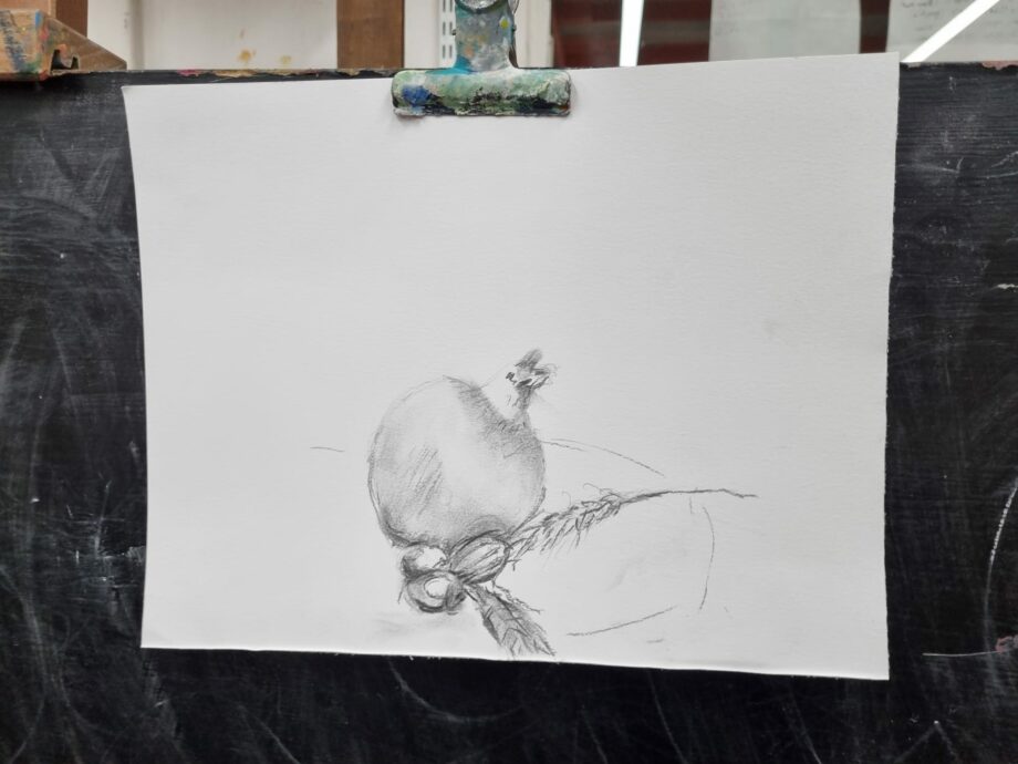Cours dessin appliqué - À partir de 8 ans