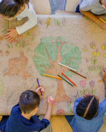 Stage d'arts plastiques - Du 24 au 28 Octobre (4-8ans)